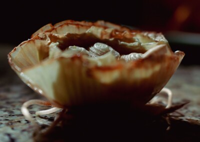Onion, onion still life, still life photography, food, food photography