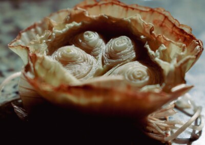 Onion, onion still life, still life photography, food, food photography