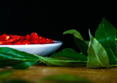 Dried Chillies still life, dried chillies, food photography, still life photo of dried chillies, still life photography, red chilli spice, bay leaves