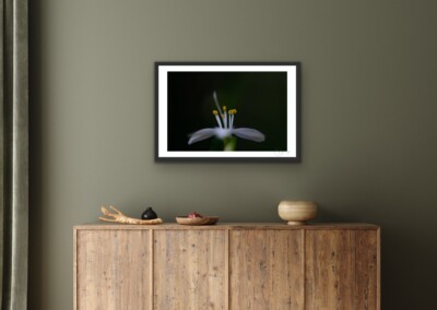 Mock-ups are a non-functional design, usually in the form of a digital image, to give customers an idea of what the final product will look like in a live setting. It is a realistic visual representation of a product, in this case a wall hanging or home decor.