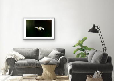 Mock-ups are a non-functional design, usually in the form of a digital image, to give customers an idea of what the final product will look like in a live setting. It is a realistic visual representation of a product, in this case a wall hanging or home decor.