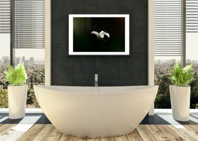 Mock-ups are a non-functional design, usually in the form of a digital image, to give customers an idea of what the final product will look like in a live setting. It is a realistic visual representation of a product, in this case a wall hanging or home decor.