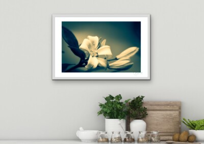 Mockups are a non-functional design, usually in the form of a digital image, to give customers an idea of what the final product will look like in a live setting. It is a realistic visual representation of a product , in this case a wall hanging or home decor.