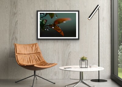 Mockups are a non-functional design, usually in the form of a digital image, to give customers an idea of what the final product will look like in a live setting. It is a realistic visual representation of a product , in this case a wall hanging or home decor.