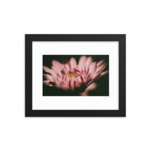 Flower Moody f