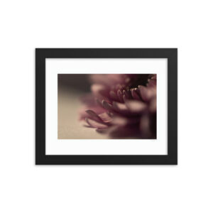 Dark Petals f