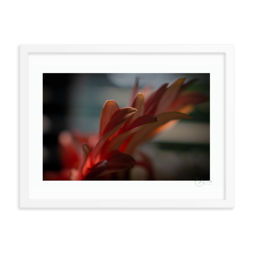 premium-luster-photo-paper-framed-poster-in-white-18x24-transparent-63d116b6e8417.jpg